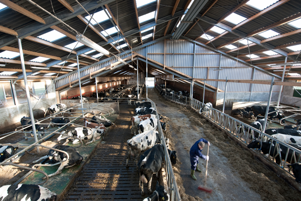 farm
