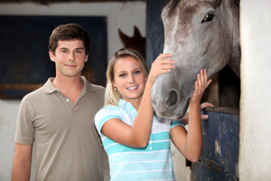 horse
