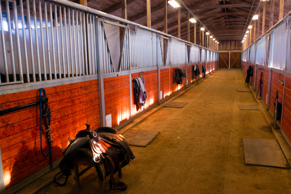 horse stable